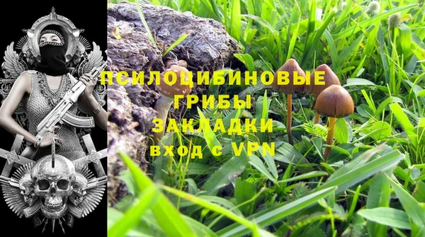 СК Алзамай