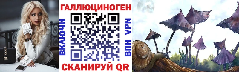 Галлюциногенные грибы MAGIC MUSHROOMS  сколько стоит  нарко площадка наркотические препараты  Сунжа 